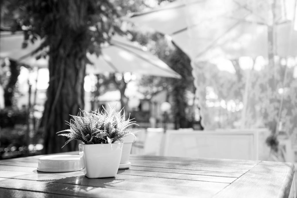 B&B Isabella Milano Marittima Bagian luar foto